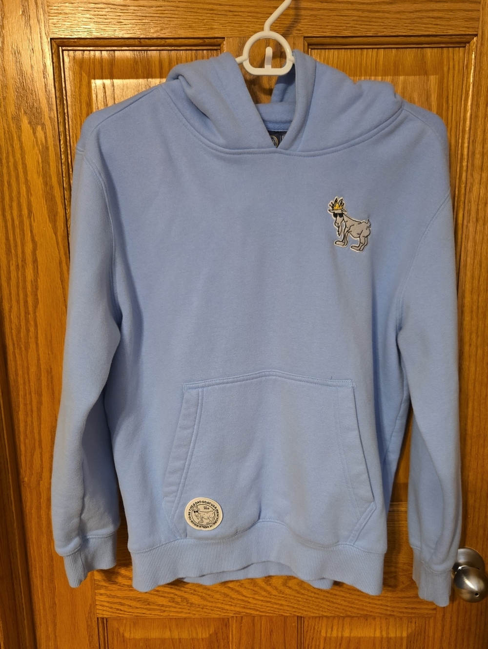 Kids Light Blue Pullover Hoodie with Embroidered Goat Patch